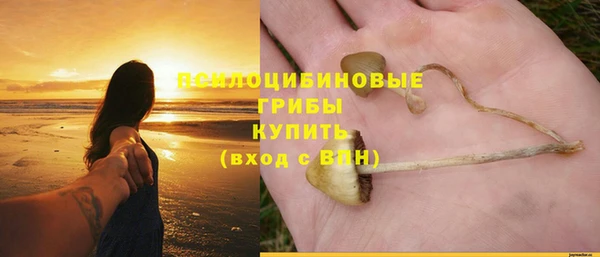 стафф Богородицк